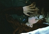 giorg03.jpg